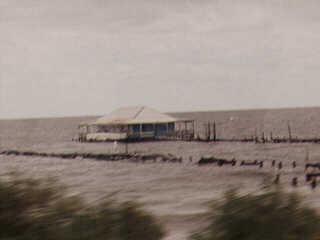 View from the Amtrac train.